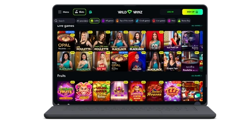 WildWinz Kasyno strona internetowa 